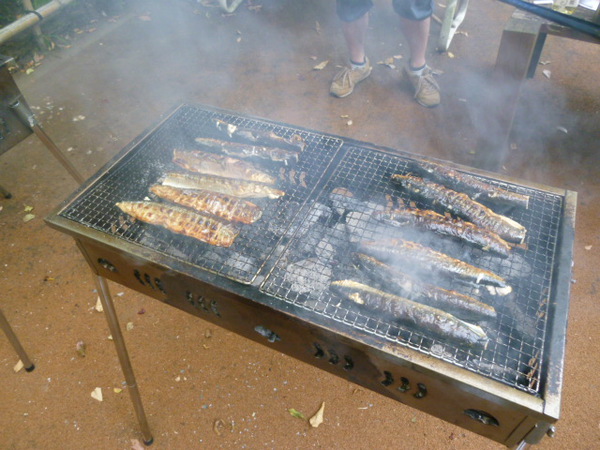 P1050108.JPG